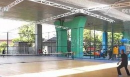 体育圈的天花板