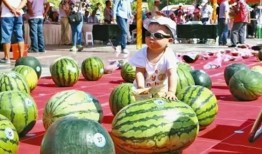 吃瓜大赛,吃瓜大赛精彩瞬间大盘点